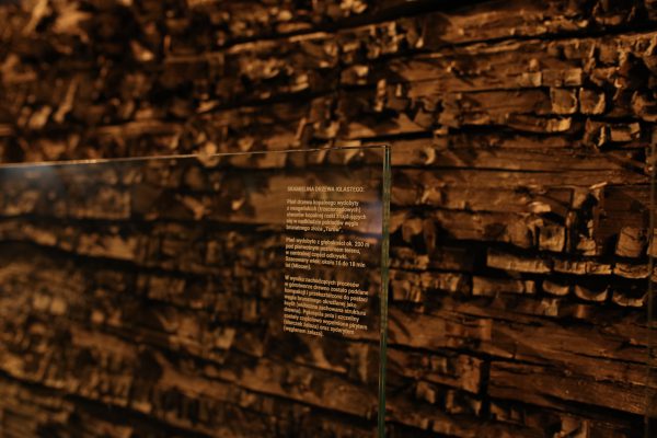 Zdjęcie 2 z 6: 063A9444