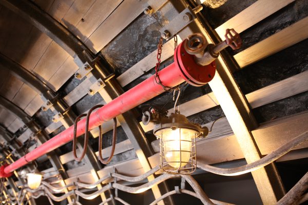 Zdjęcie 3 z 6: 063A9458