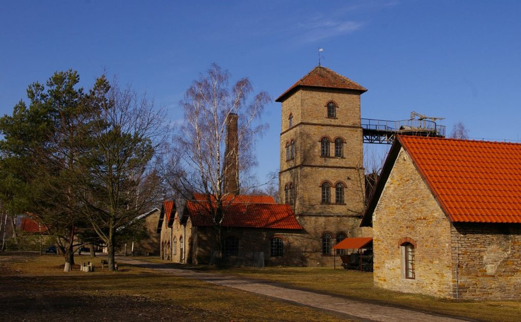 Zdjęcie 1 z 9: chlewiska